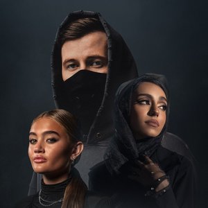 Avatar di Alan Walker & Sophie Stray