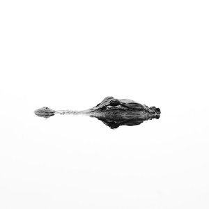 self​-​contained
