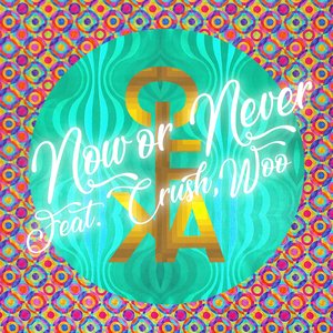 Now Or Never (feat. Crush & Woo) - Single