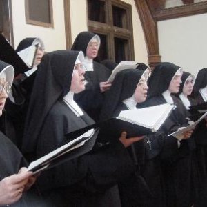 Daughters of Mary 的头像