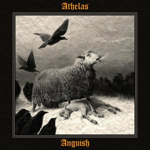 Anguish