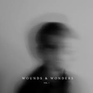 Wounds & Wonders, Vol. 1