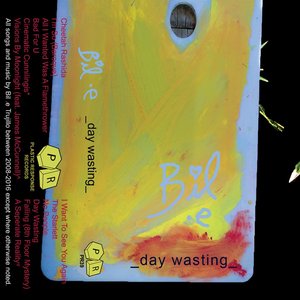 _Day Wasting_
