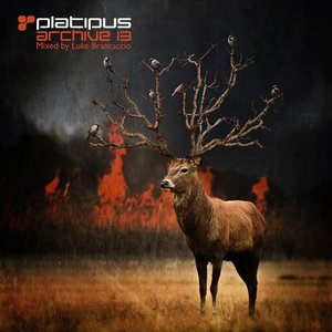 Platipus Archive 13