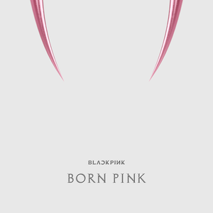 bOrN pInK - BLACKPINK poster