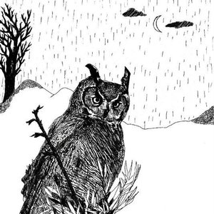 Bild för 'eyes of the owl'