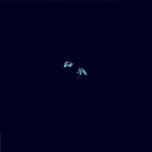 Coming Home (Live)