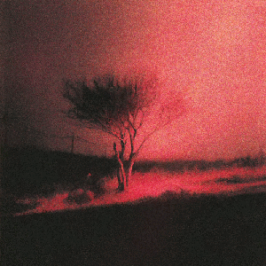 Piss In The Wind [Explicit]
