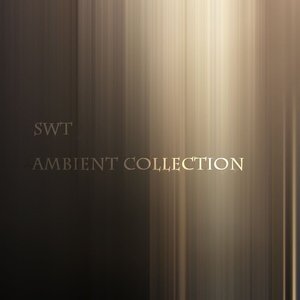 swt 的头像