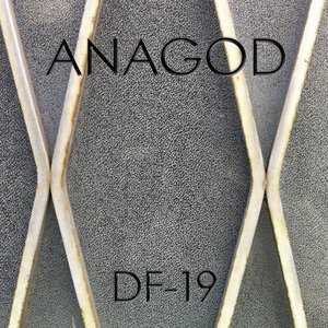DF-19