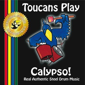 Toucans Play Calypso!