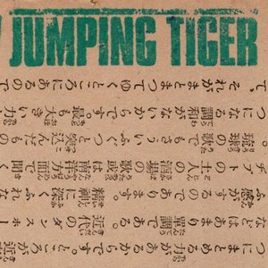 jumping tiger 的头像