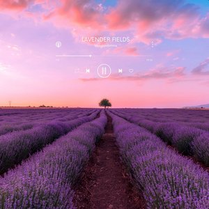 Lavender Fields