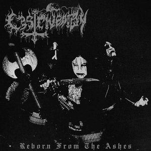 Reborn From The Ashes