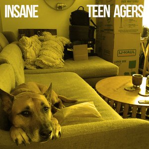 Insane - Single