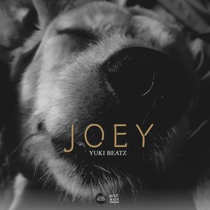 Joey - Single