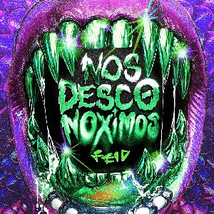NOS DESCONOXIMOS - Single
