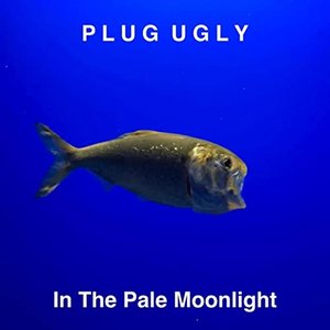 In the Pale Moonlight