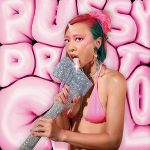PUSSY PROTOCOL - Single