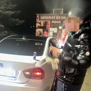 P4TTY 的头像