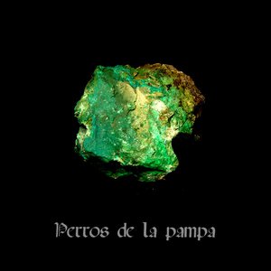 Perros de la Pampa