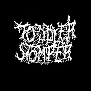 Toddler Stomper 的头像