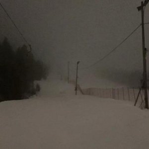Solitude