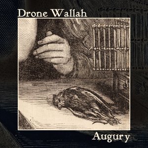 Augury