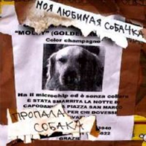 Пропала собака