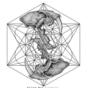 Hollow Man - Single