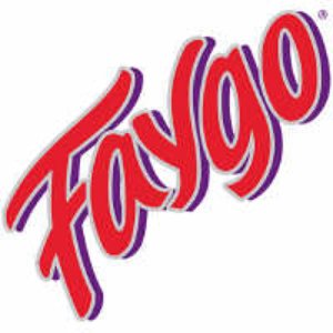 Immagine per 'Faygo'