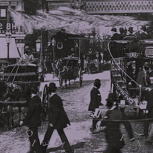Shelter in the Storm 的头像