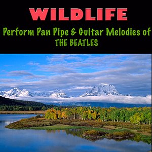 Pan Pipe & Guitar Melodies of The Beatles