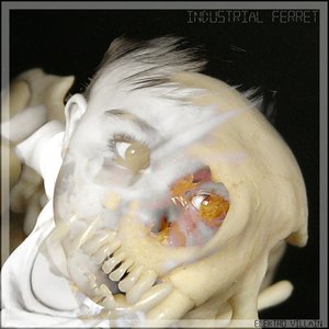 Industrial Ferret 的头像