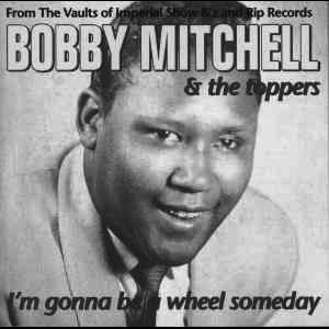Bobby Mitchell & The Toppers 的头像