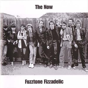 Image pour 'Fuzztone Fizzadelic'