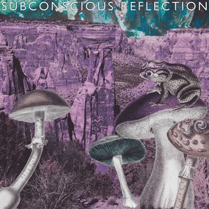 Subconscious Reflection