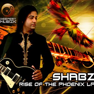 Rise Of The Phoenix LP