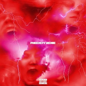 reddy 2 die