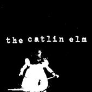 “The Catlin Elm”的封面