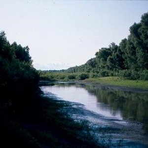 Sampling Pond