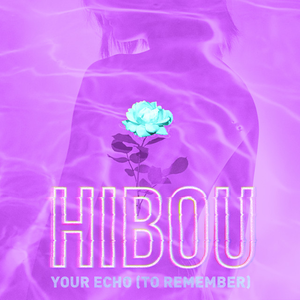 KEXP - Your Echo - Zortam Music