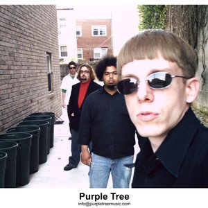 Avatar for Purple Tree