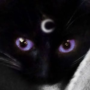 Luna Lean
