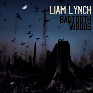 Badtooth Woods