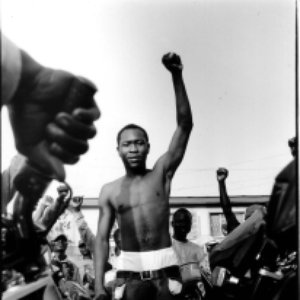 Avatar for Seun Kuti & Egypt 80