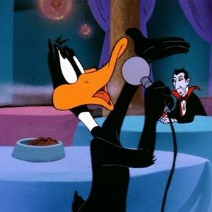 Daffy Duck 的头像