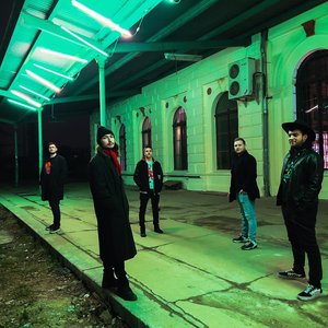 the Stallions 的头像