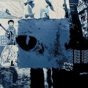 year of the cat [Explicit]