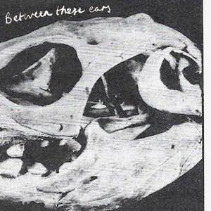 Between These Ears - Single